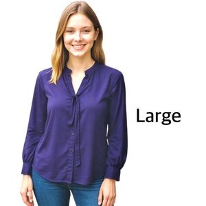 Sami & Jo Blue Tie Neck Pullover Blouse Long Sleeve Size Large